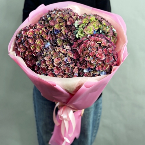 Букет из 5 космических Голландских гортензий в Королеве