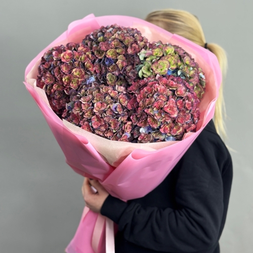 Букет из 5 космических Голландских гортензий в Королеве